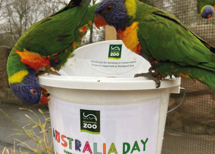 Media boost for Australian wildlife fundraiser