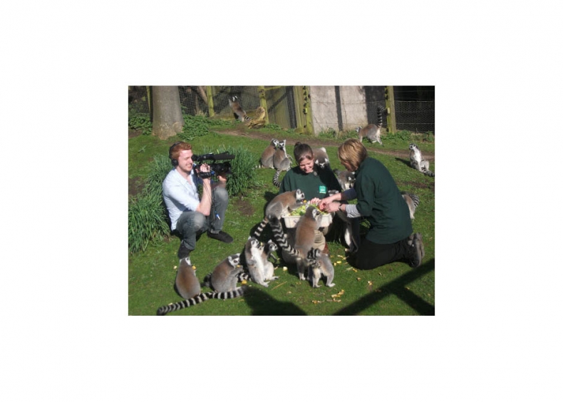 ICG PR coverage coup for Blackpool Zoo