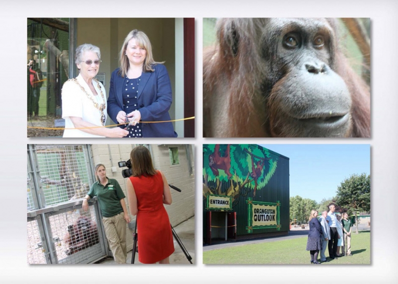 Jungle VIPs at Blackpool Zoo