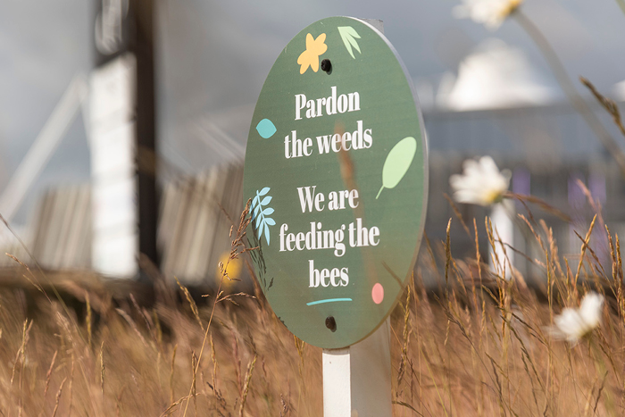 Pardon the weeds we are feeding the bees sign